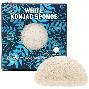 TR White Konjac Sponge, 1ea - Очищающий спонж конняку