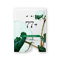 Anua Heartleaf 77% Soothing Sheet Mask, 25ml - Успокаивающая тканевая маска на основе хауттюйнии