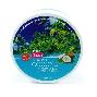 Banna Body Cream Coconut, 250ml